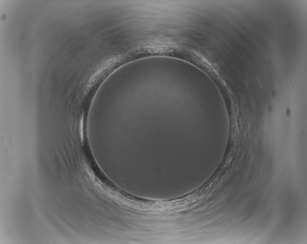 X0000057090019200509120930