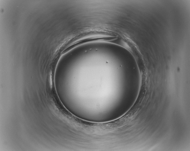 X0000057090020200509120930