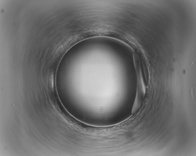 X0000057090021200509120930