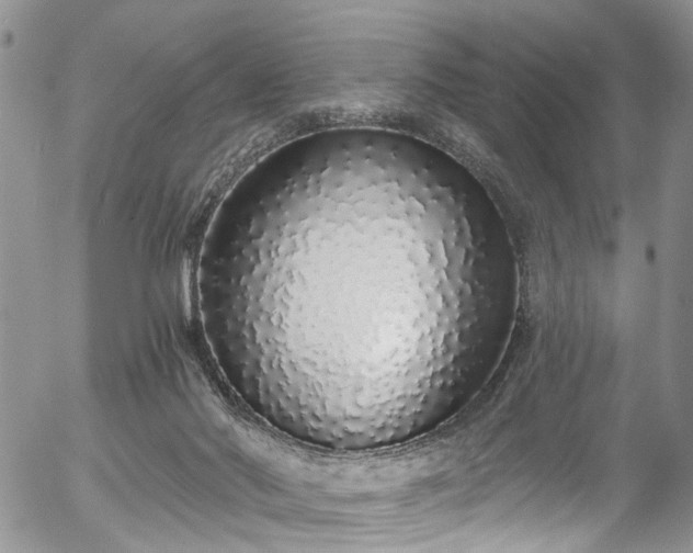 X0000057090022200509120930