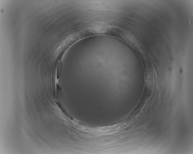 X0000057090023200509120930