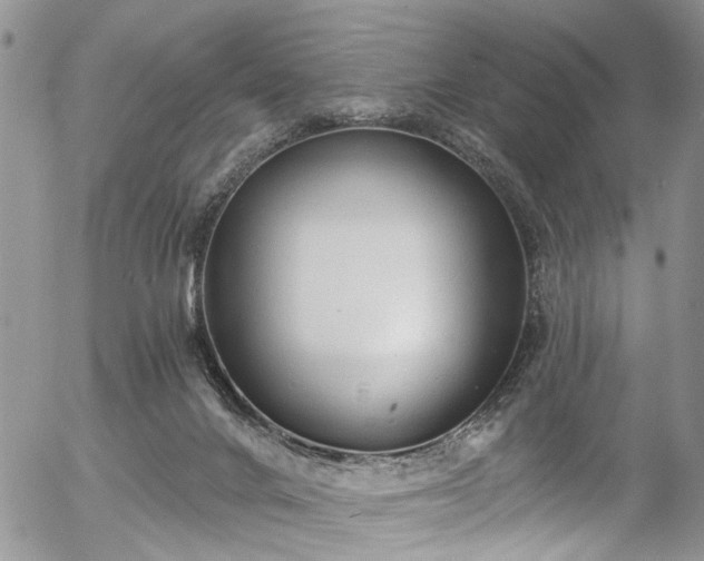 X0000057090024200509120930