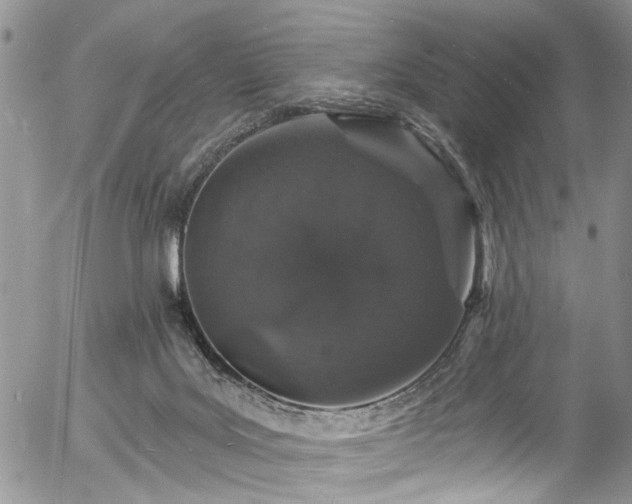 X0000057090027200509120930