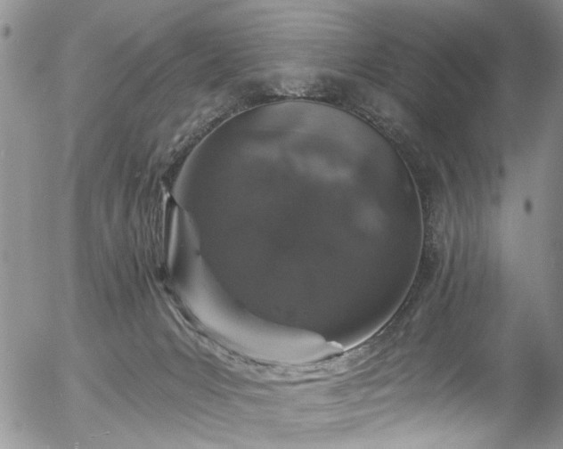 X0000057090031200509120930