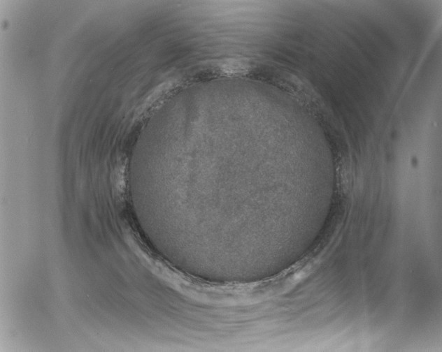 X0000057090032200509120930