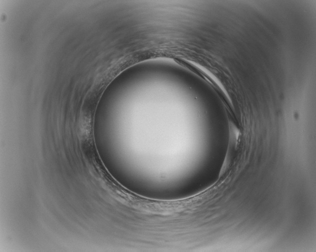 X0000057090033200509120930