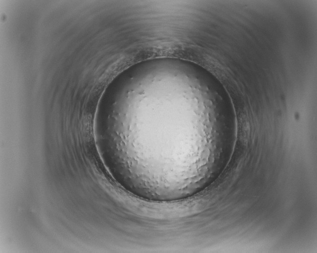 X0000057090034200509120930