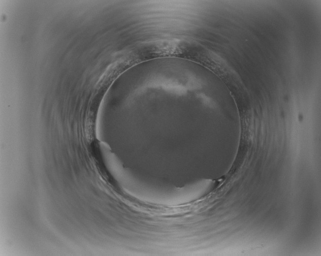 X0000057090035200509120930