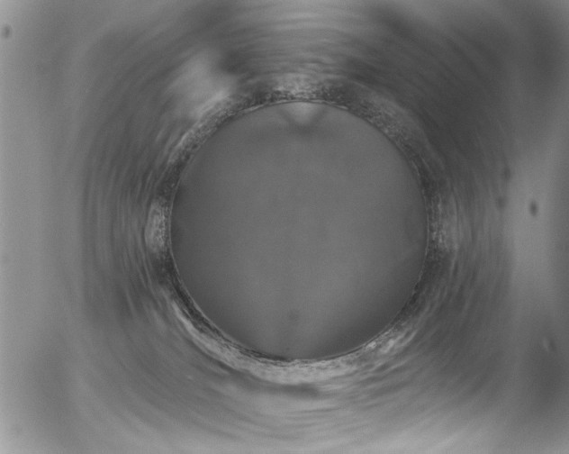 X0000057090036200509120930