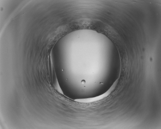 X0000057090037200509120930