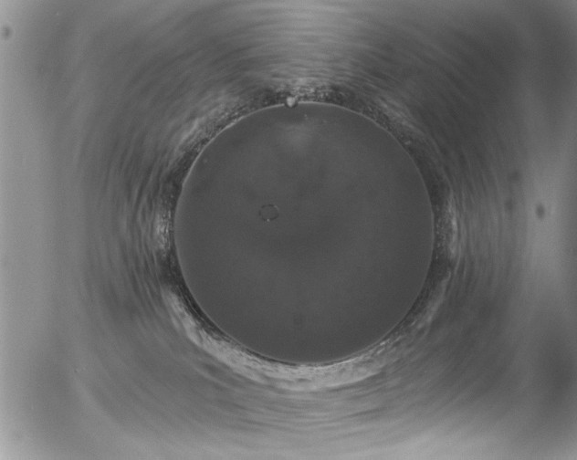 X0000057090039200509120930