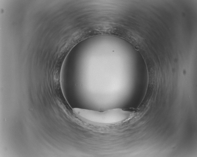 X0000057090040200509120930