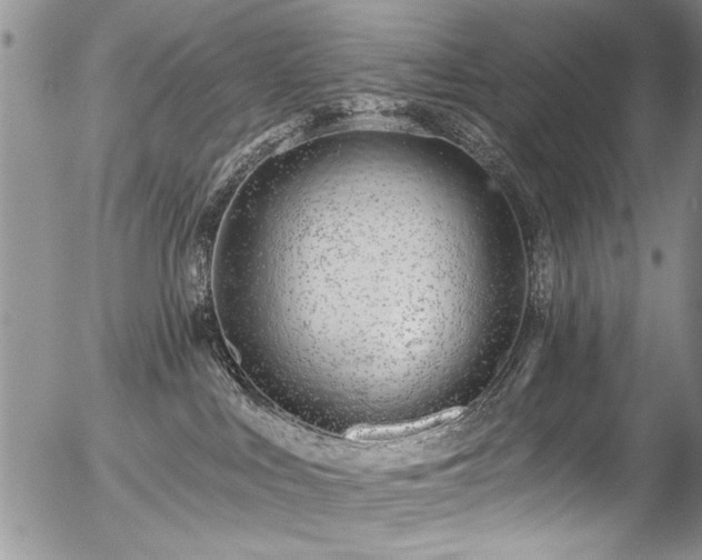 X0000057090043200509120930