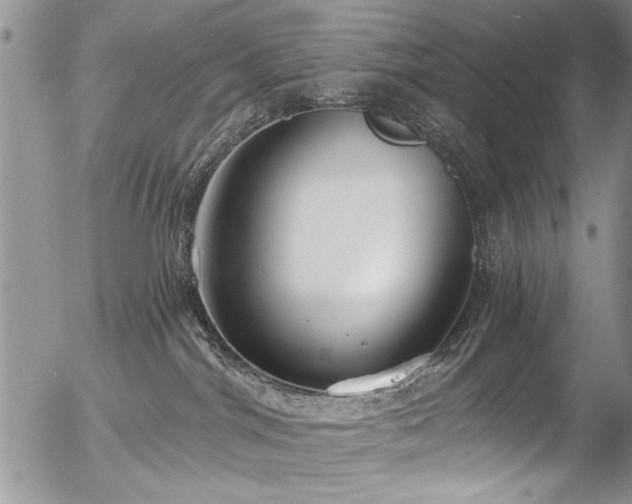 X0000057090044200509120930