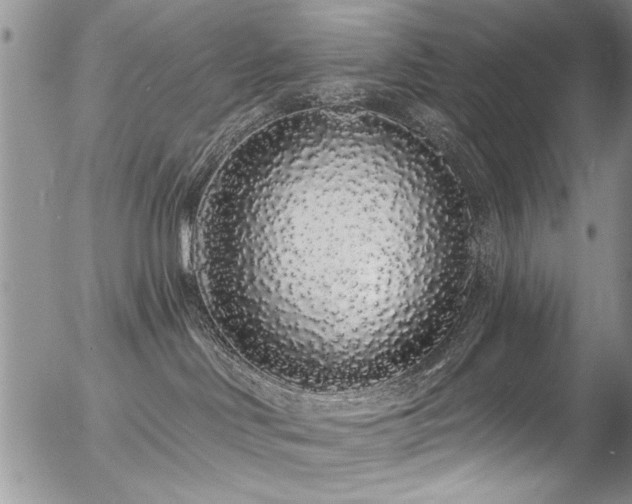 X0000057090046200509120930