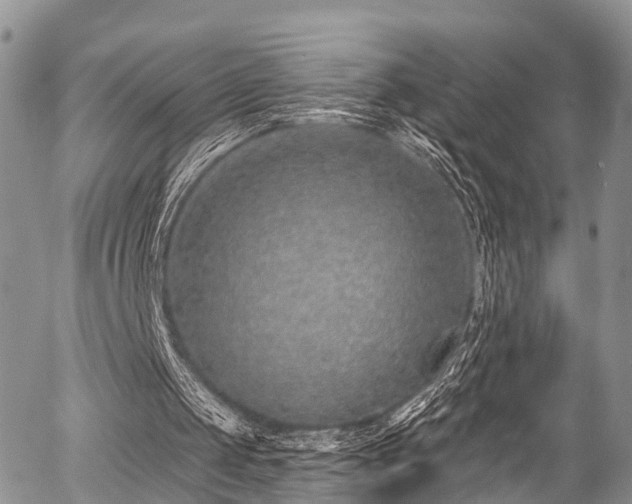 X0000057090049200509120929