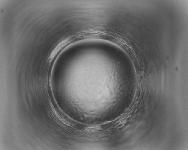 X0000057090051200509120929