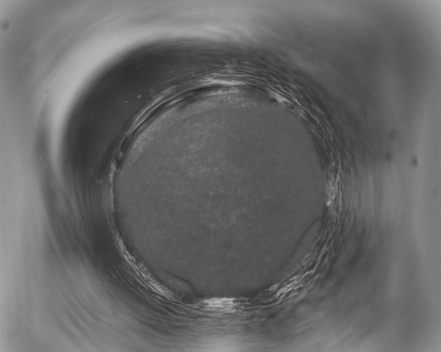 X0000057090052200509120929