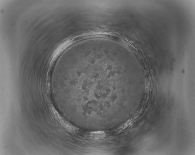 X0000057090053200509120929