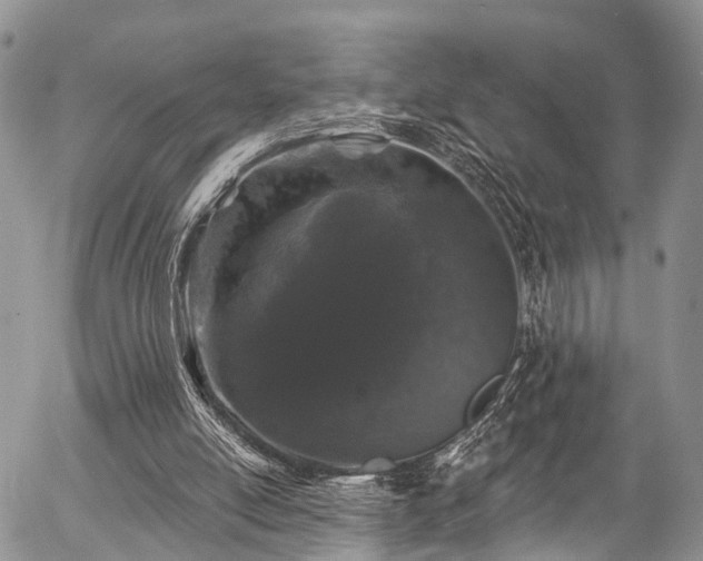 X0000057090054200509120929