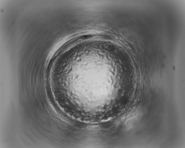 X0000057090055200509120929