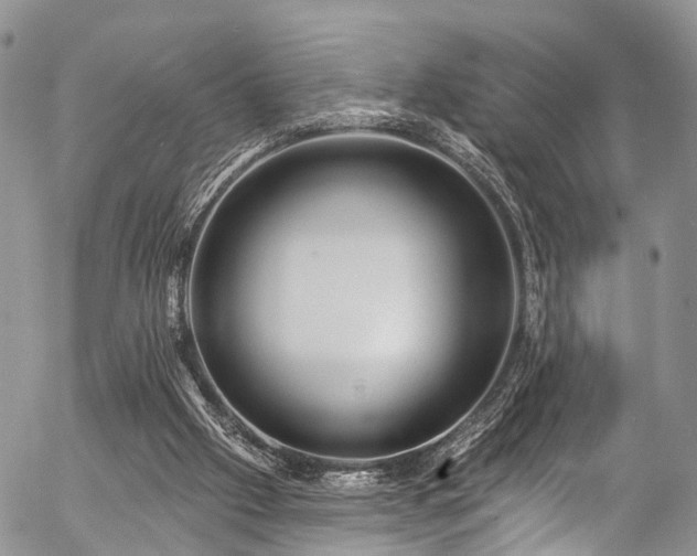 X0000057090057200509120929