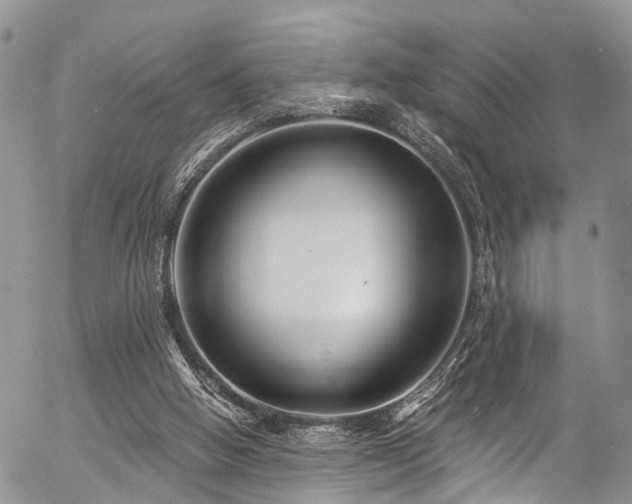 X0000057090058200509120929