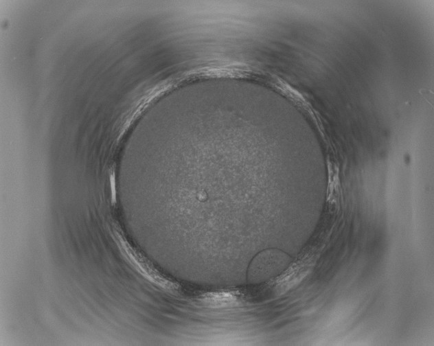 X0000057090061200509120929