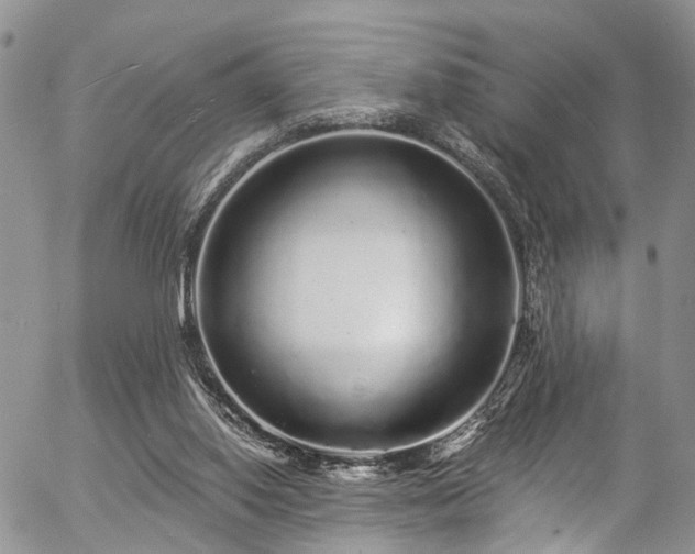 X0000057090062200509120929