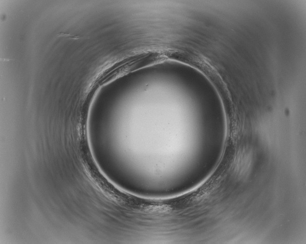 X0000057090063200509120929