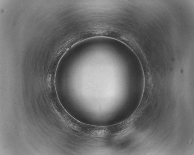 X0000057090066200509120929