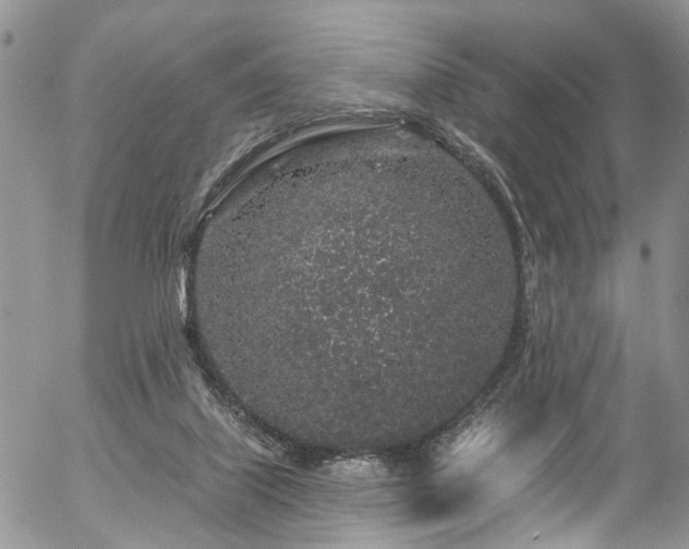 X0000057090067200509120929