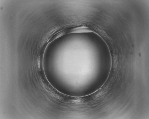 X0000057090068200509120929