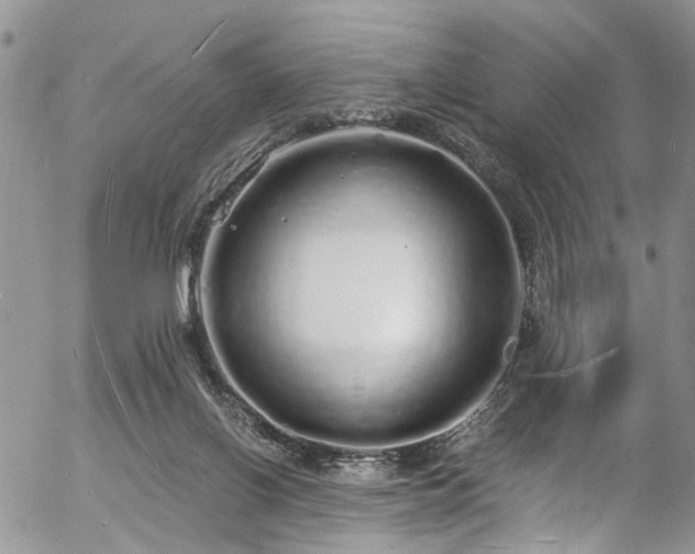 X0000057090070200509120929