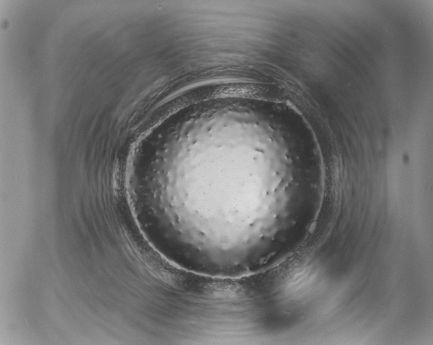 X0000057090073200509120929