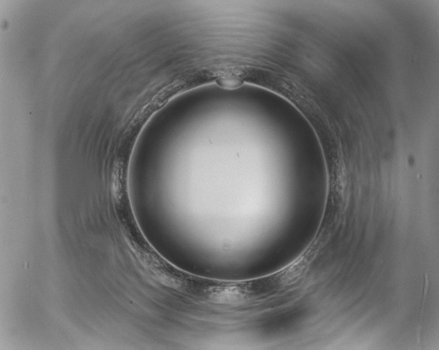 X0000057090074200509120929