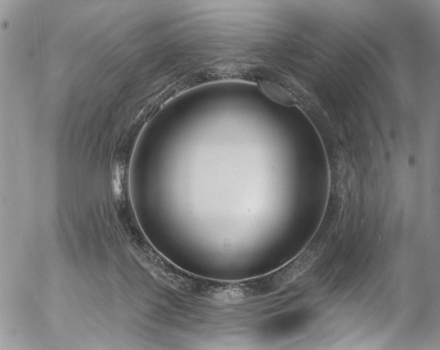 X0000057090075200509120929