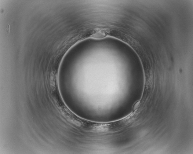 X0000057090078200509120930