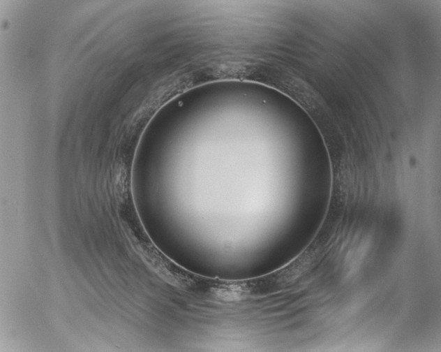 X0000057090079200509120930