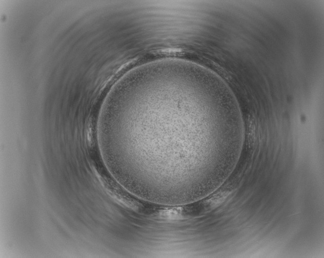 X0000057090080200509120930