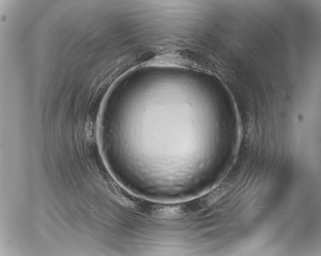 X0000057090081200509120930