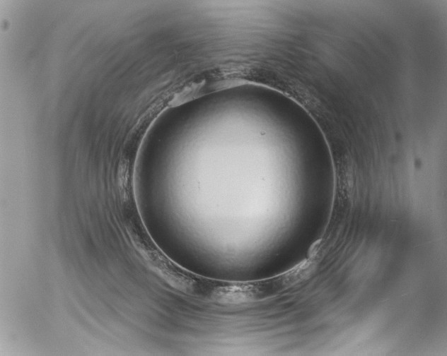 X0000057090082200509120930