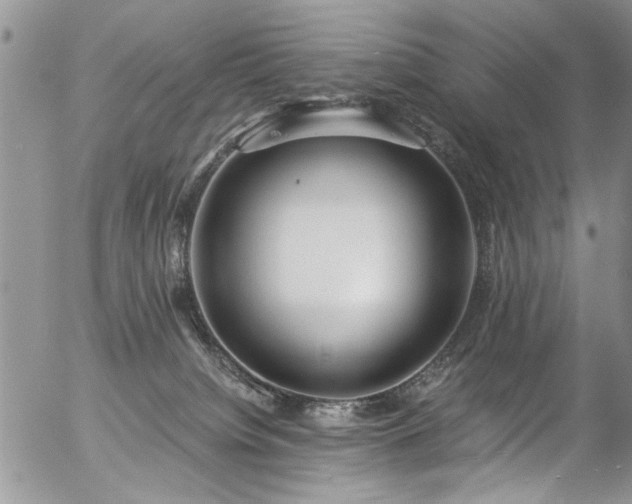 X0000057090084200509120930