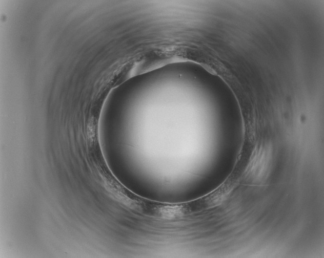 X0000057090085200509120930