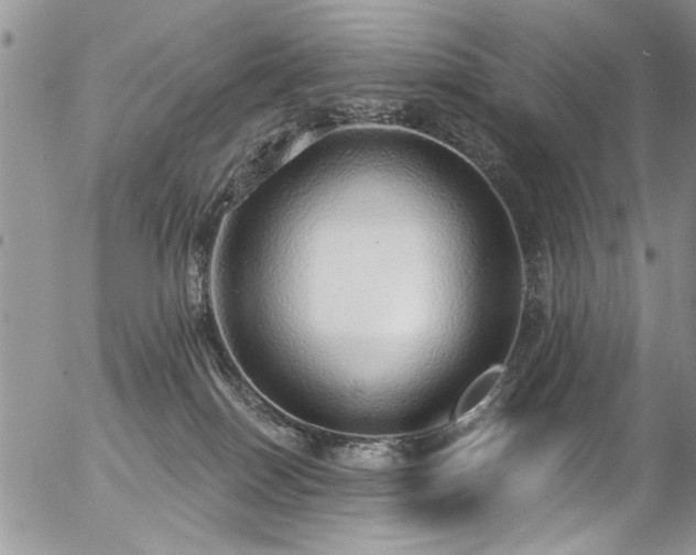 X0000057090086200509120930