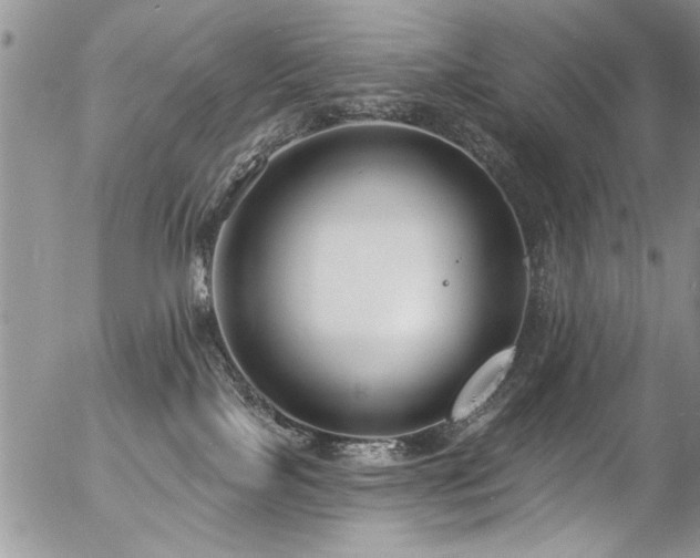 X0000057090089200509120930