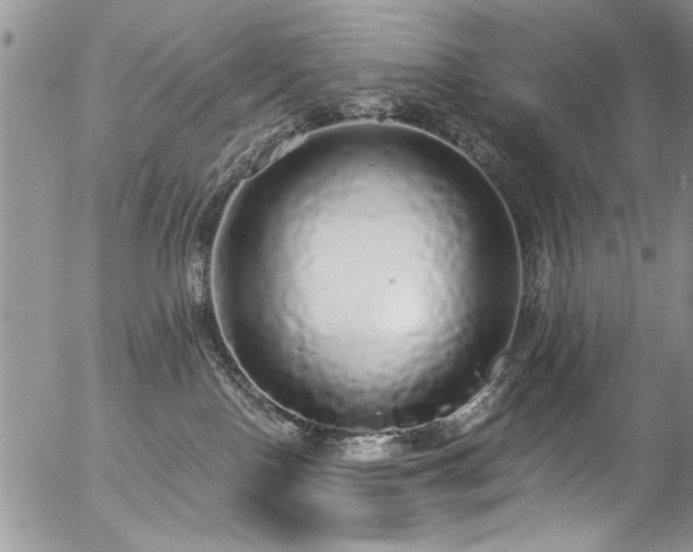 X0000057090090200509120930