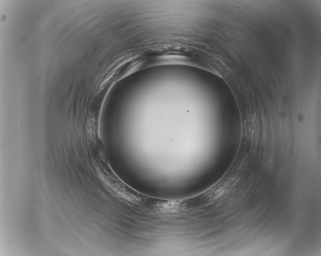 X0000057090092200509120930