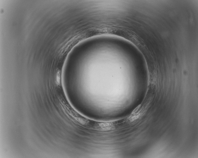 X0000057090095200509120930