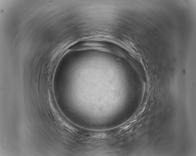 X0000057090097200509120929